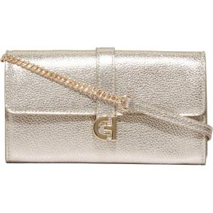 Cole Haan Wallet on a Chain(Gold)
