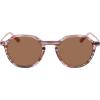 imageCOLE HAAN CH6503 Polarized Panto Sunglasses Blush Horn 5221140