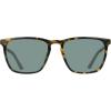 imageCOLE HAAN Mens CH6085 Polarized Square Sunglasses Tortoise 5518140