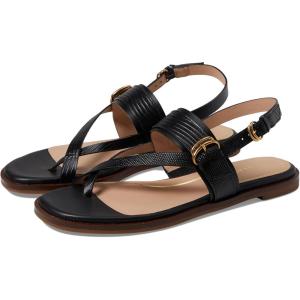 Cole Haan Women’s Anica Lux Buckle Flat Sandal(Black Ltr)