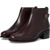 Ch Madeira Brown Ltr